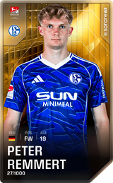 Peter Remmert - limited