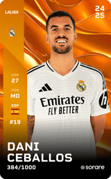 Dani Ceballos - limited