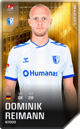 Dominik Reimann - limited