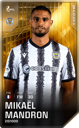 Mikaël Mandron - limited