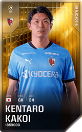Kentaro Kakoi - limited