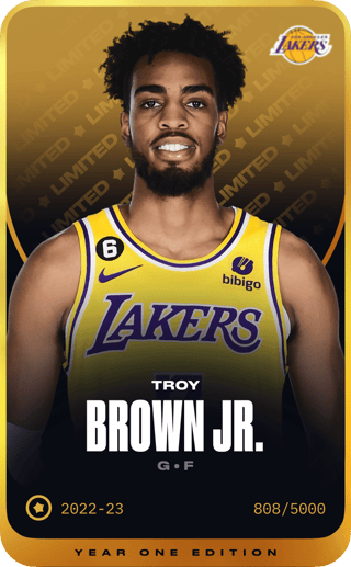 Troy Brown Jr. - limited