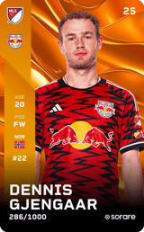 Dennis Gjengaar - limited