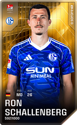 Ron Schallenberg - limited