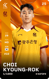 Kyoung-Rok Choi - limited