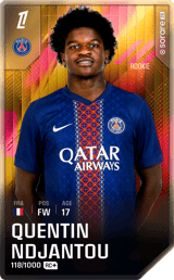 Quentin Ndjantou - limited