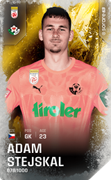 Adam Stejskal - limited