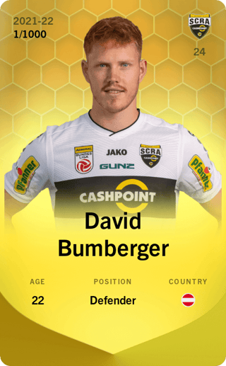 David Bumberger