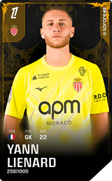 Yann Lienard - limited