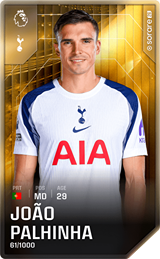 João Palhinha - limited