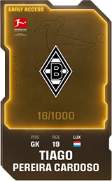 Tiago Pereira Cardoso - limited