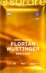 Florian Wustinger - limited