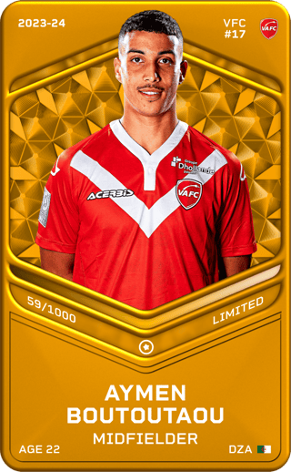 Aymen Boutoutaou - limited