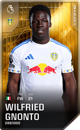 Wilfried Gnonto - limited