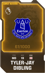 Tyler-Jay Dibling - limited