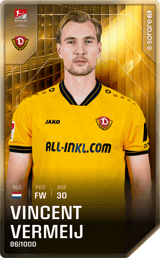 Vincent Vermeij - limited