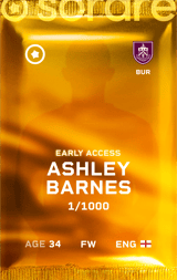 Ashley Barnes - limited