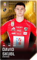 David Skubl - limited