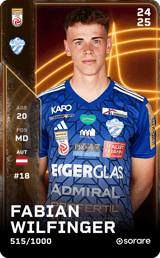 Fabian Wilfinger - limited