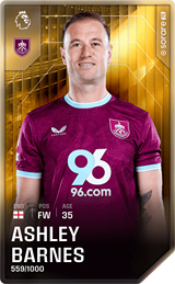 Ashley Barnes - limited