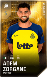 Adem Zorgane - limited