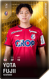 Yota Fujii - limited