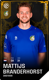 Mattijs Branderhorst - limited