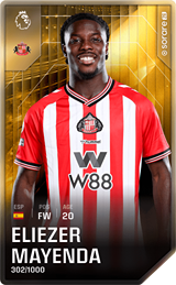 Eliezer Mayenda - limited