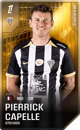 Pierrick Capelle - limited