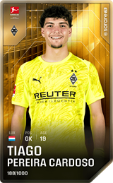 Tiago Pereira Cardoso - limited