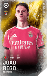 João Rêgo - limited