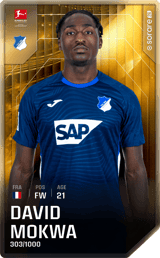 David Mokwa - limited