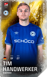 Tim Handwerker - limited