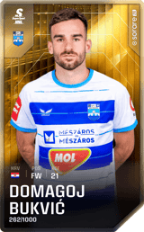 Domagoj Bukvić - limited