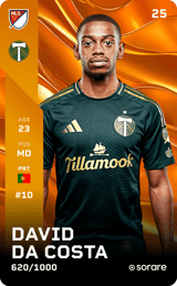 David Pereira da Costa - limited