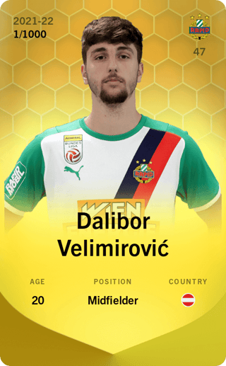 Dalibor Velimirović