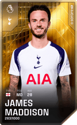 James Maddison - limited