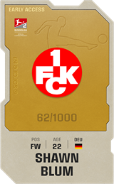 Shawn Blum - limited