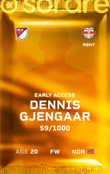 Dennis Gjengaar - limited