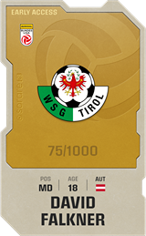 David Falkner - limited