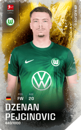 Dženan Pejčinović - limited