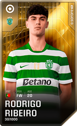 Rodrigo Ribeiro - limited