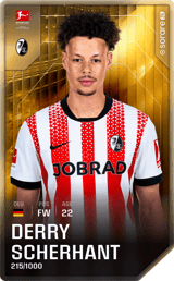 Derry Scherhant - limited