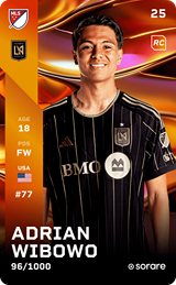 Adrian Wibowo - limited