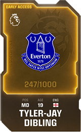 Tyler-Jay Dibling - limited
