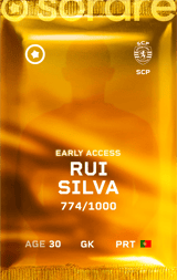 Rui Silva - limited