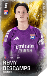 Rémy Descamps - limited