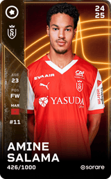 Amine Salama - limited