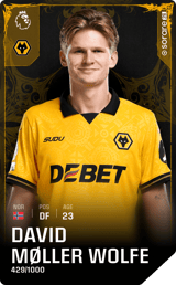 David Møller Wolfe - limited