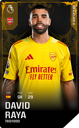 David Raya - limited